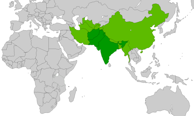 ORIENTE MEDIO. Verde oscuro: Estados considerados por la RAE. Verde claro: Estados considerados únicamente por EFE y ABC.